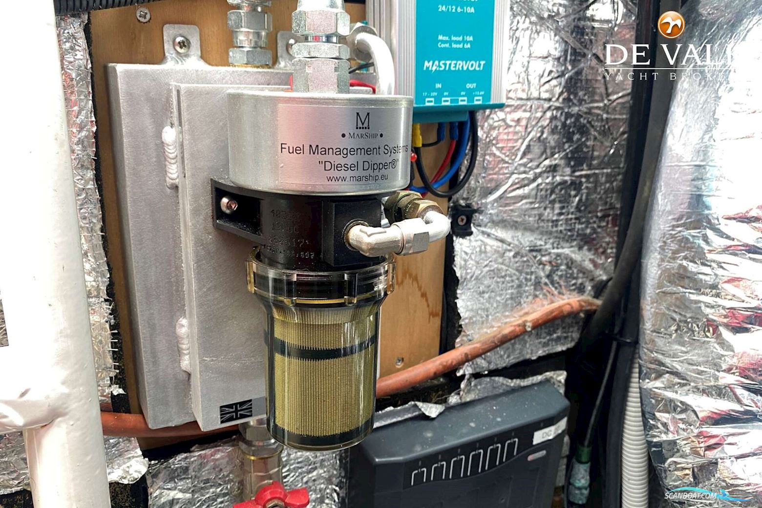 Taylor Davidsen TD547