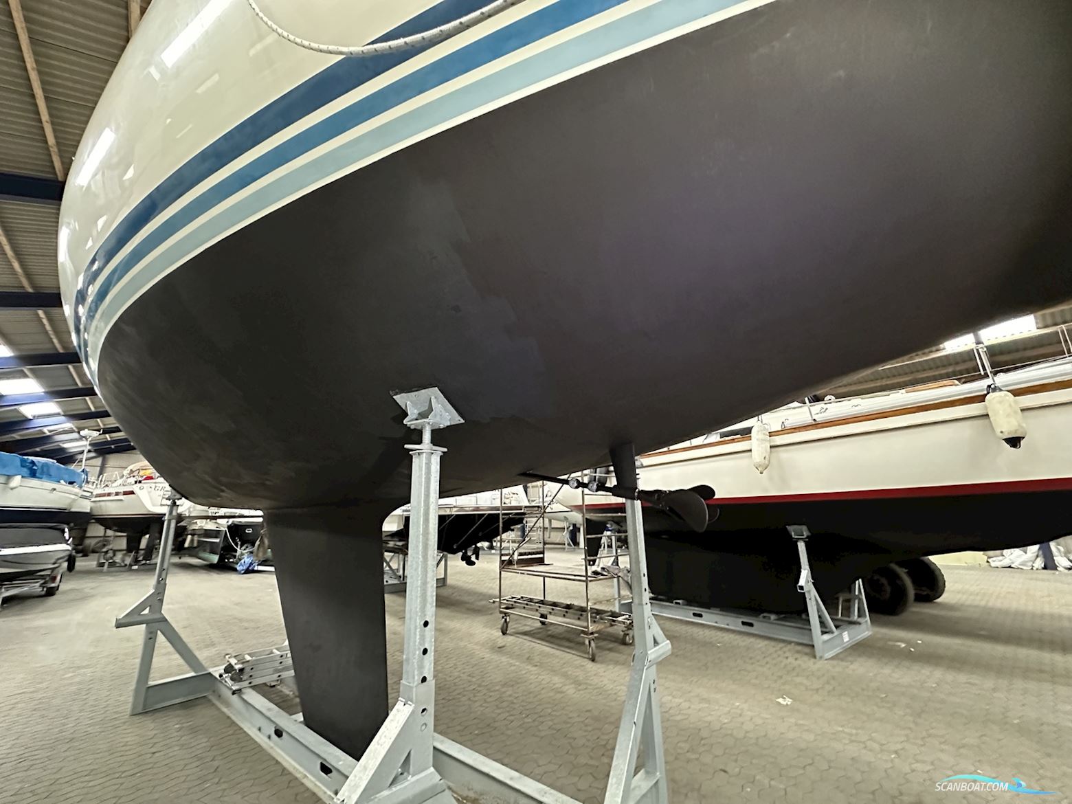 The Baltic 51 - Gatsby