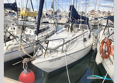 Tornado 31 Sejlbåd 1976, med Sole motor, Spanien