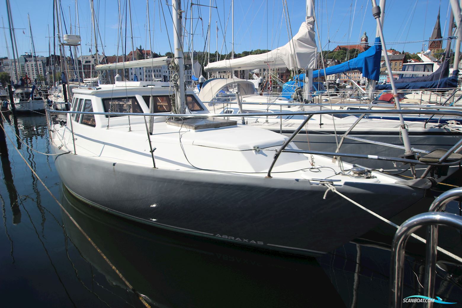 Tornado 31
