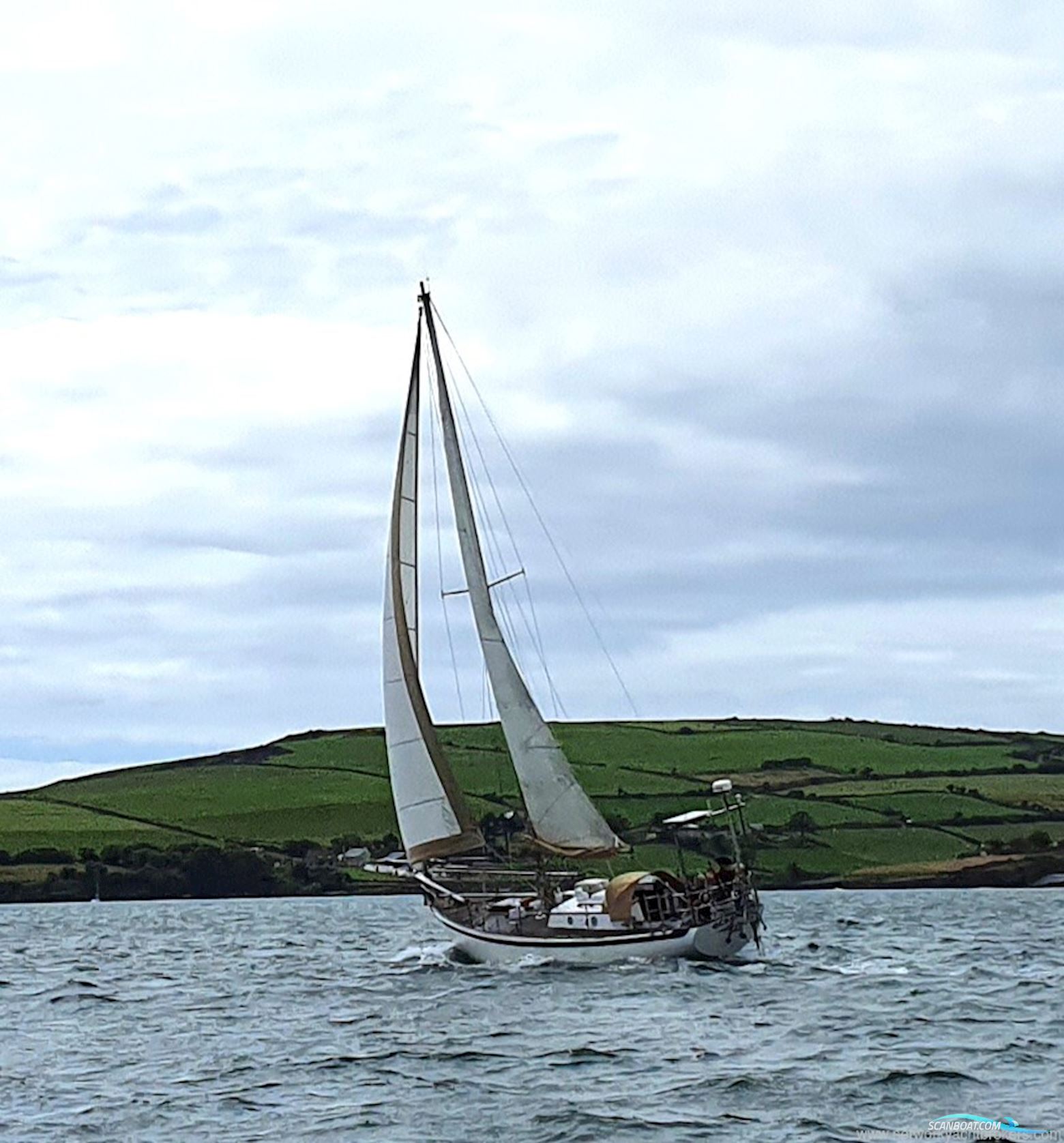 Tradewind 33