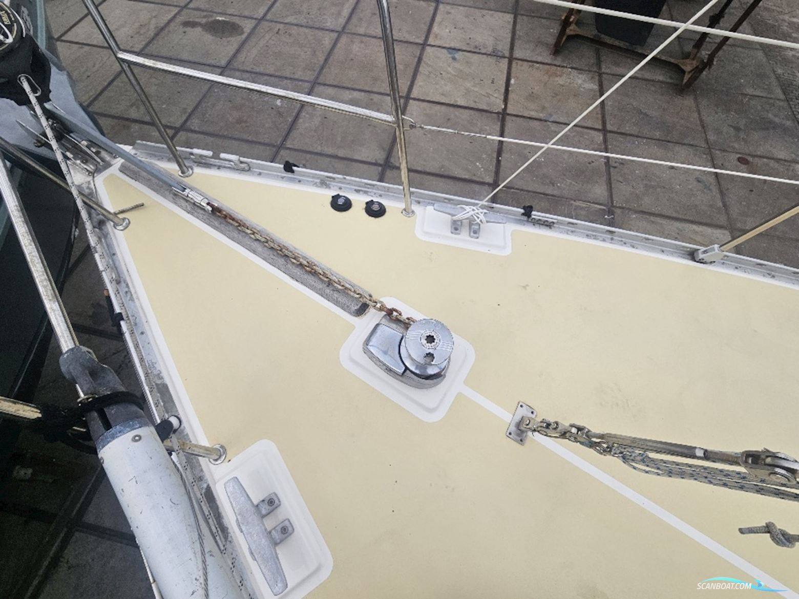 Trident Marine Warrior 38
