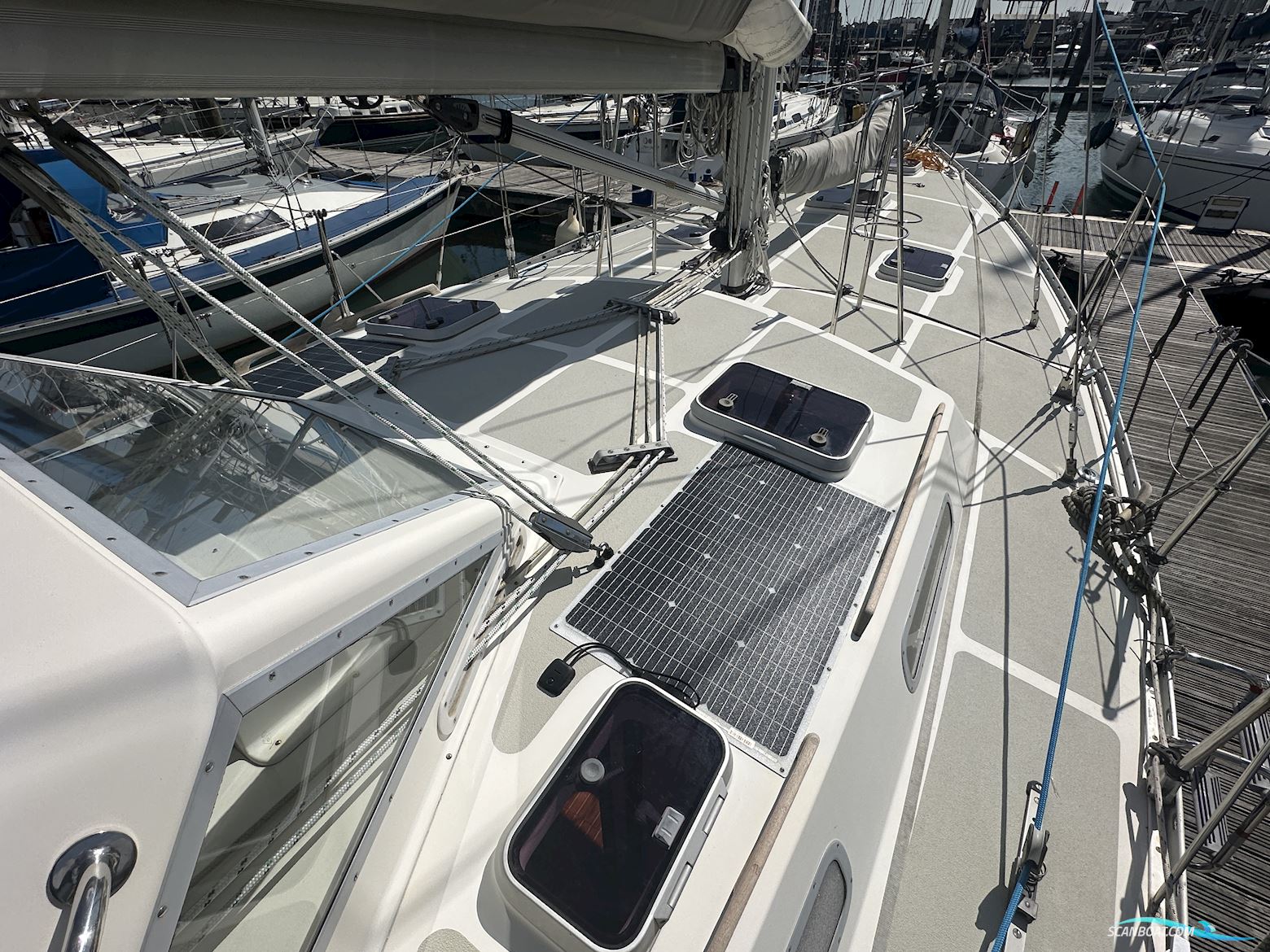 Trident Warrior 40