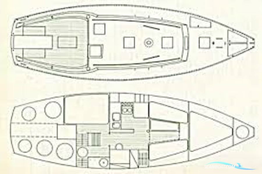 Trismus 37
