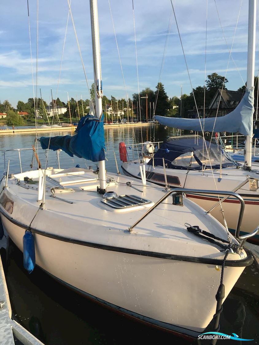 Triss magnum 600