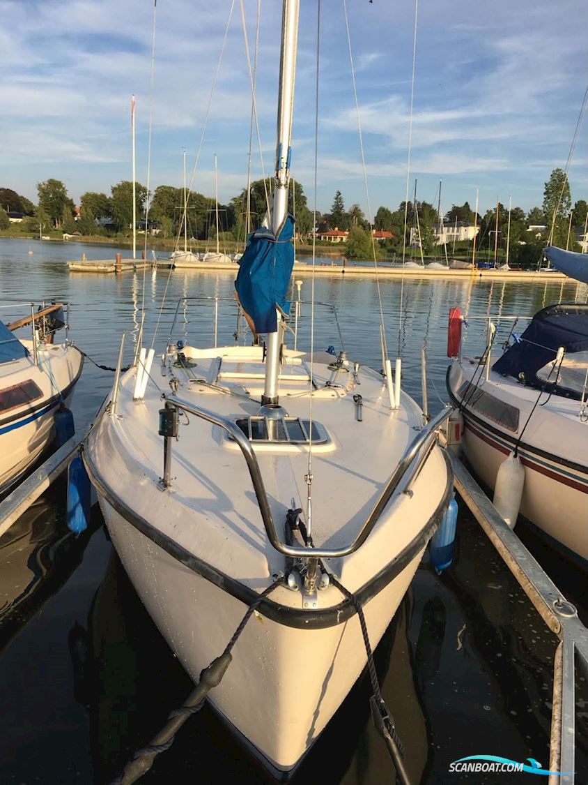 Triss magnum 600