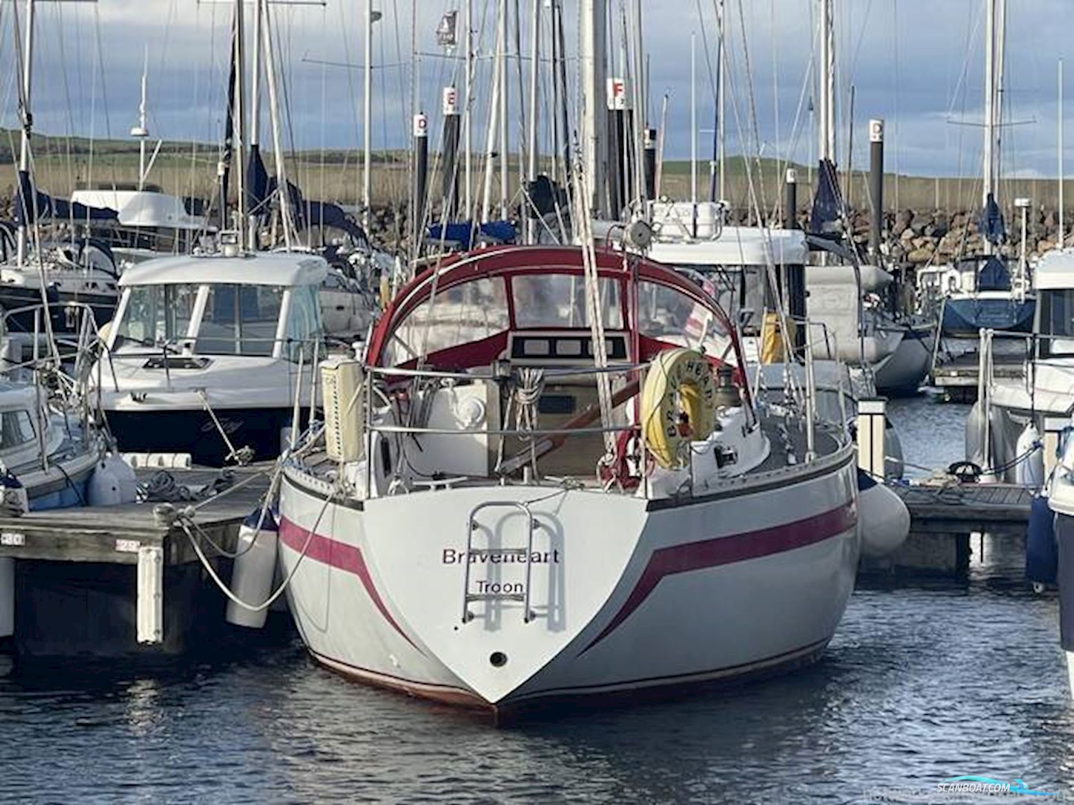 Tyler Boat Co. 31