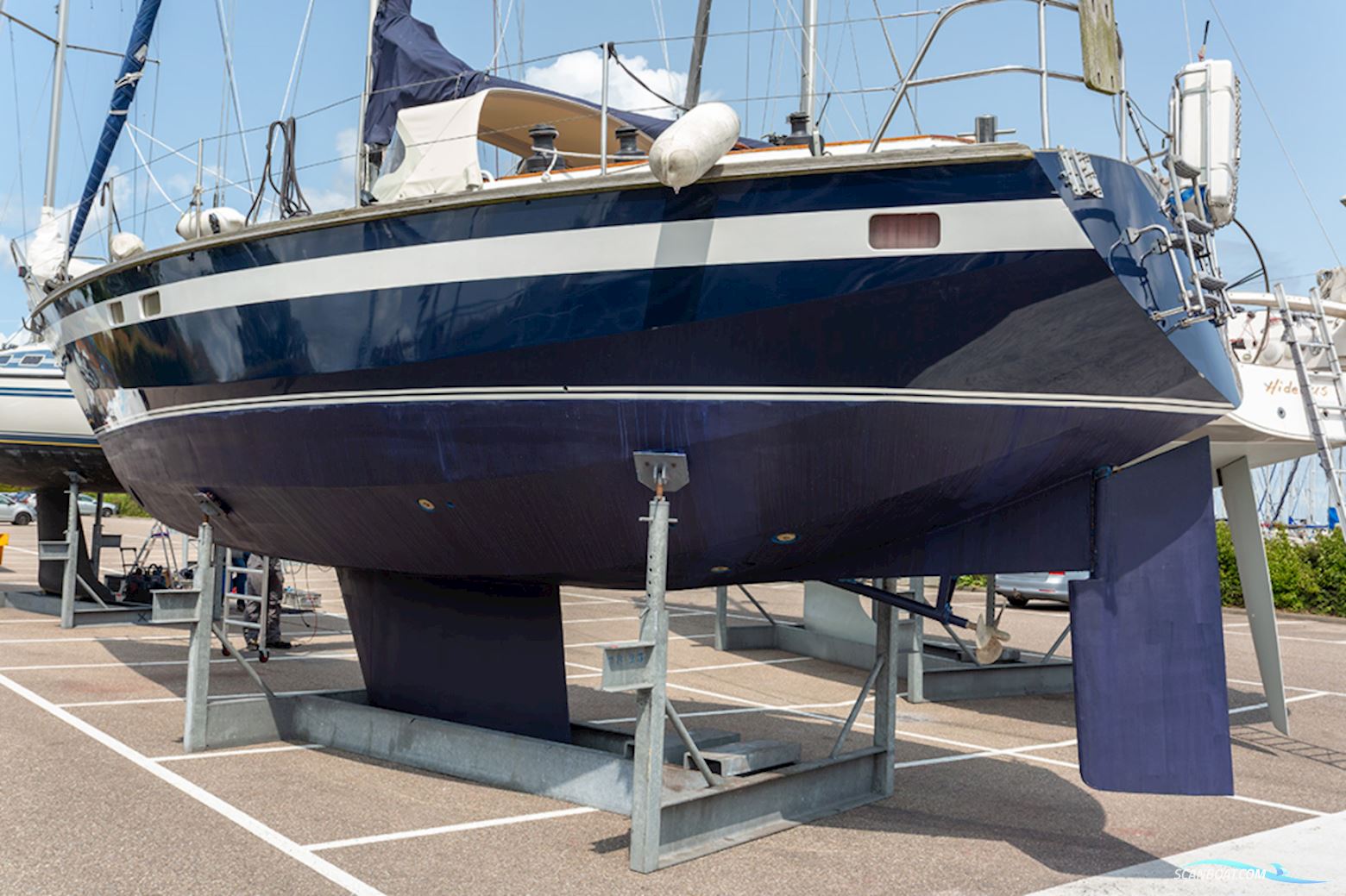 Van de Stadt 36 Zeehond