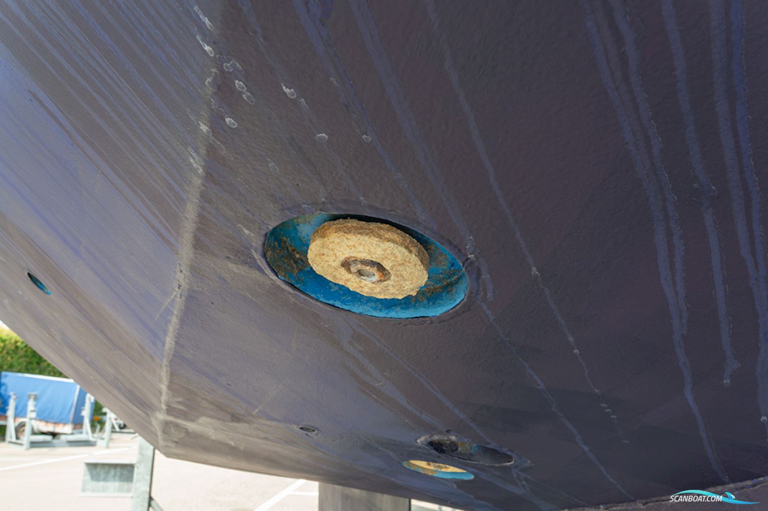 Van de Stadt 36 Zeehond