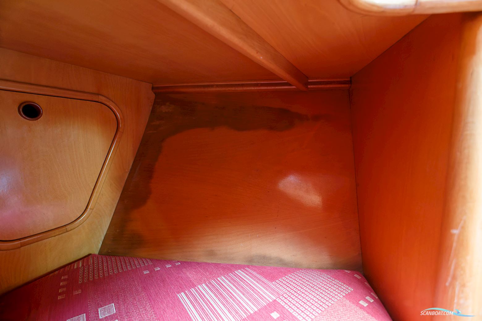 Van de Stadt 36 Zeehond