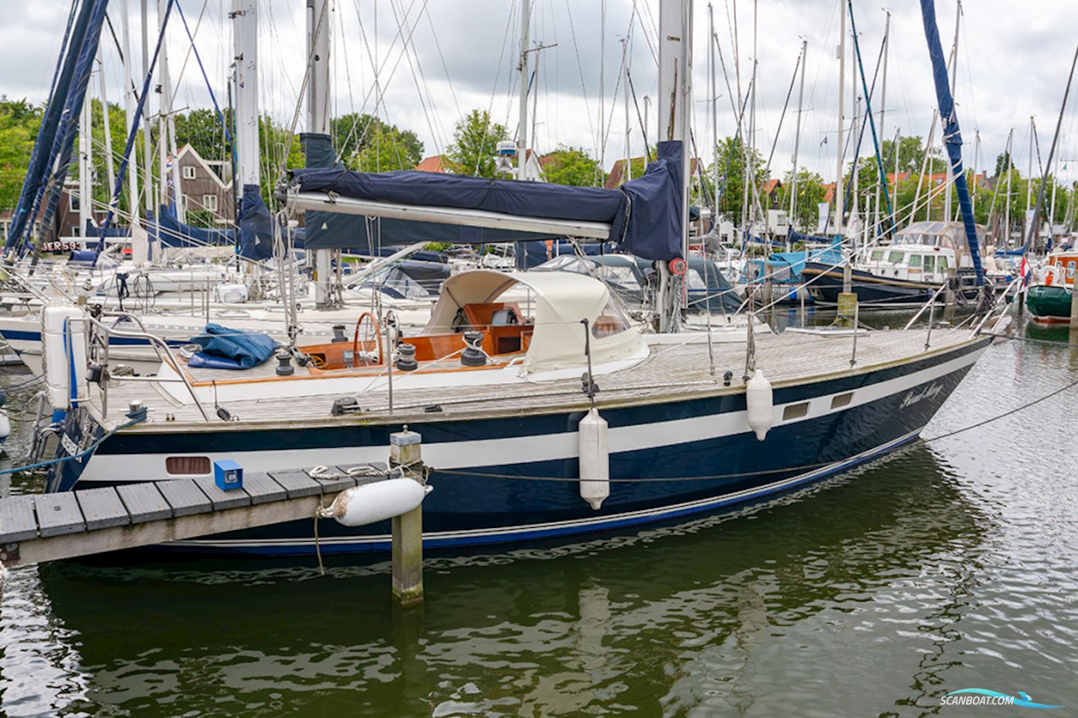 Van de Stadt 36 Zeehond