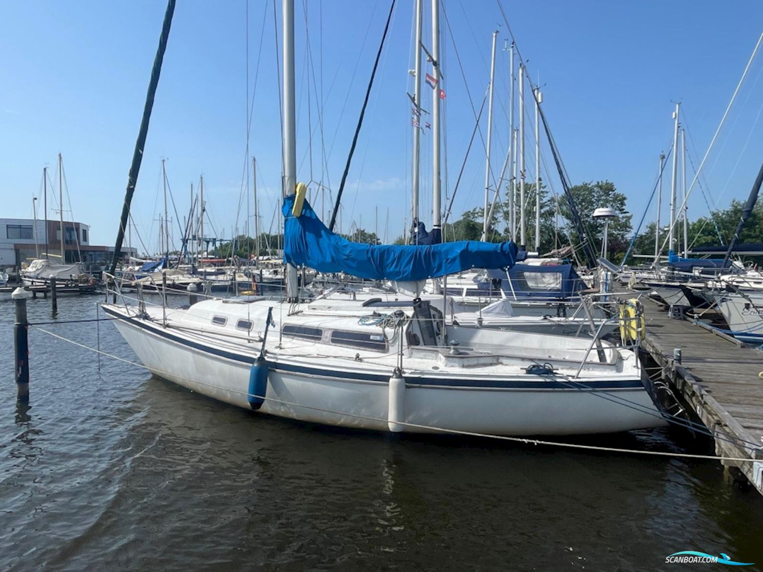Van Der Stadt Pioneer