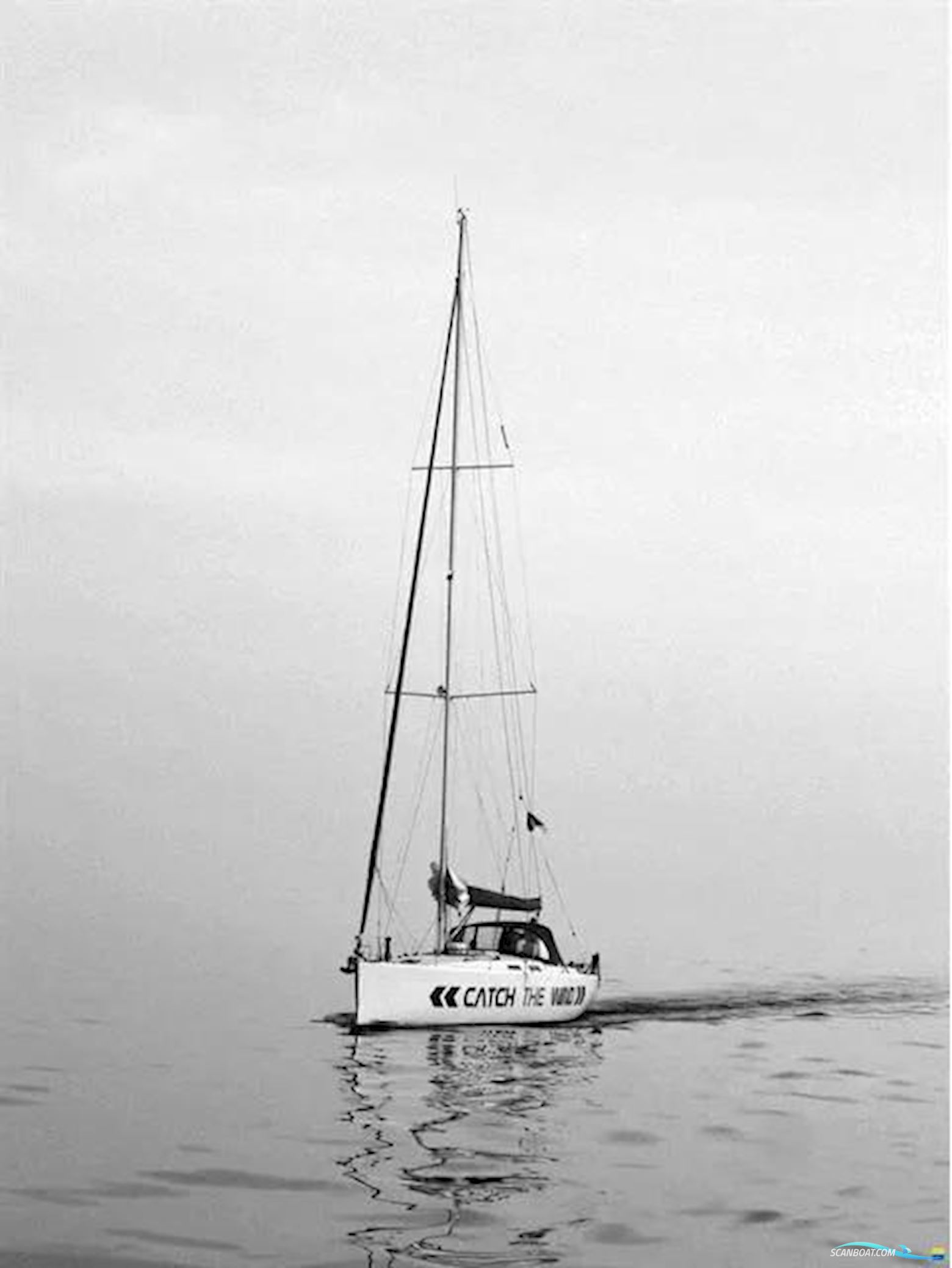 Varianta 44