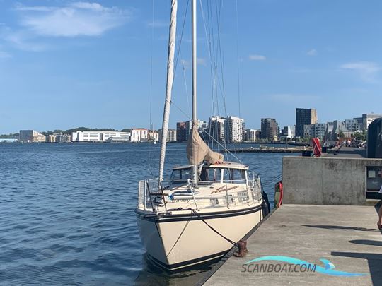 Venus 31 m. bovpropel Sejlbåd 1983, med Bukh DV48 TD  motor, Danmark
