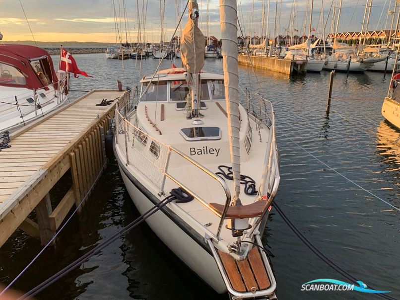 Venus 31 m. bovpropel