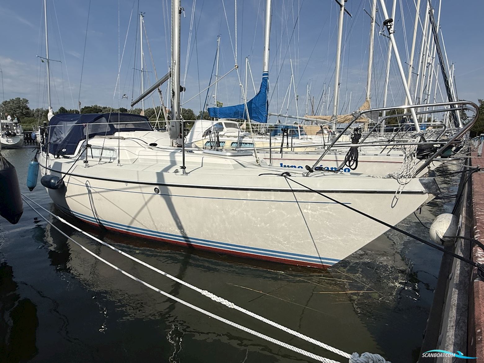 Victoire 822 Sejlbåd 1984, Holland