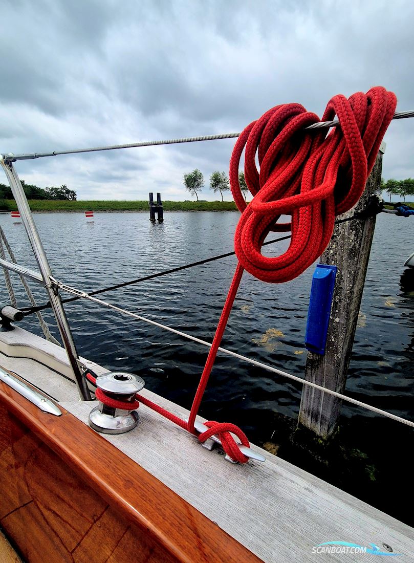 Vindö 50