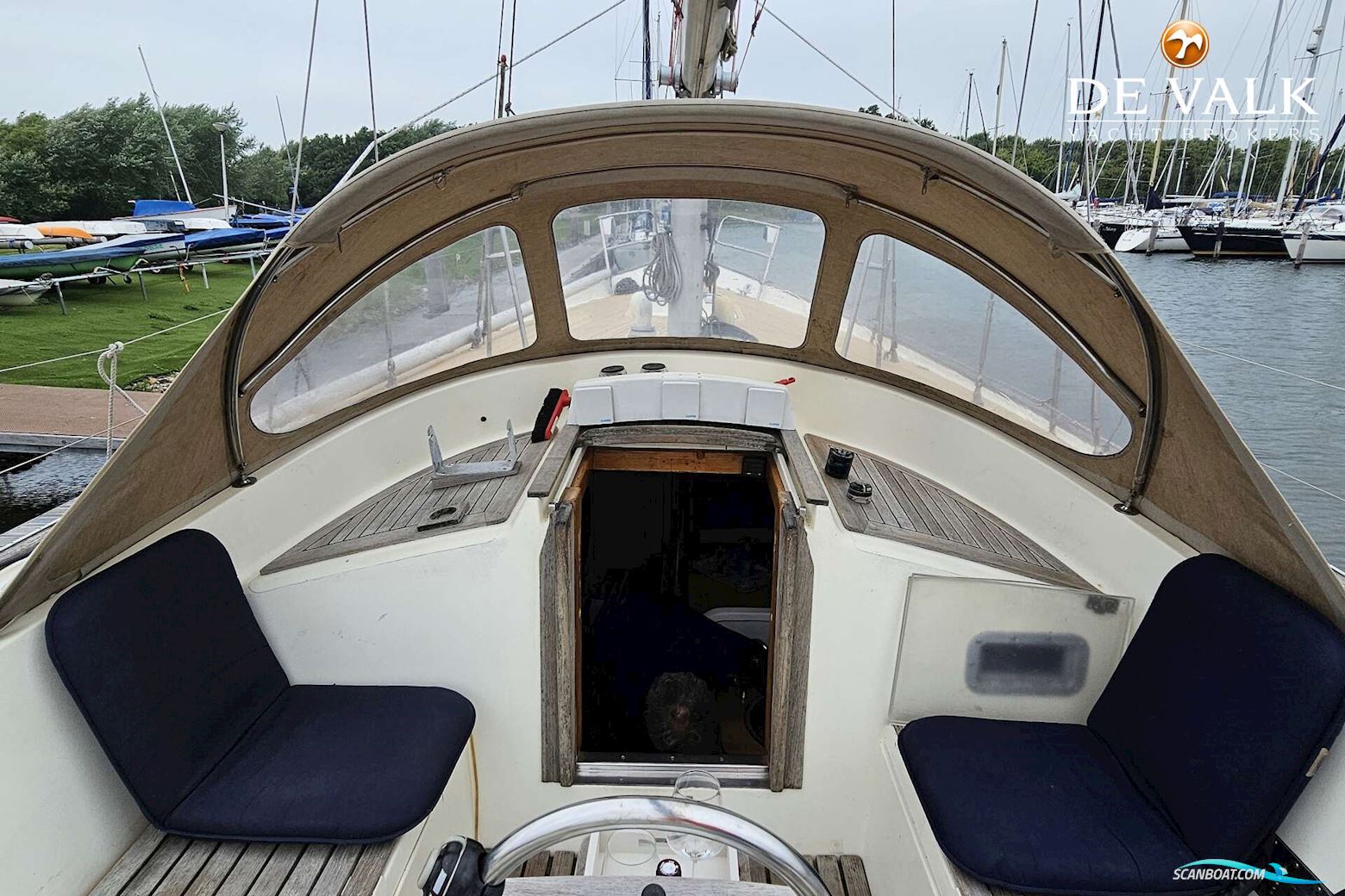 Wauquiez Amphitrite 43