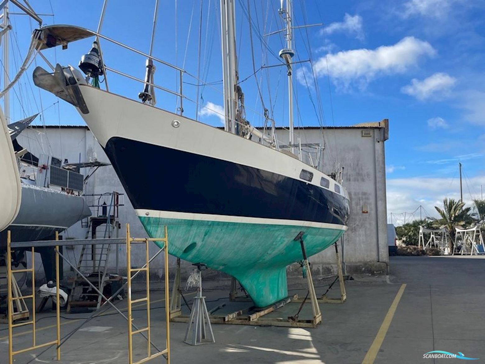 Wauquiez Amphitrite 43