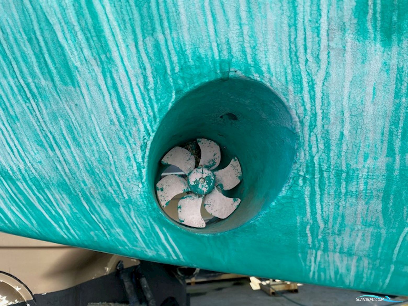 Wauquiez Amphitrite 43