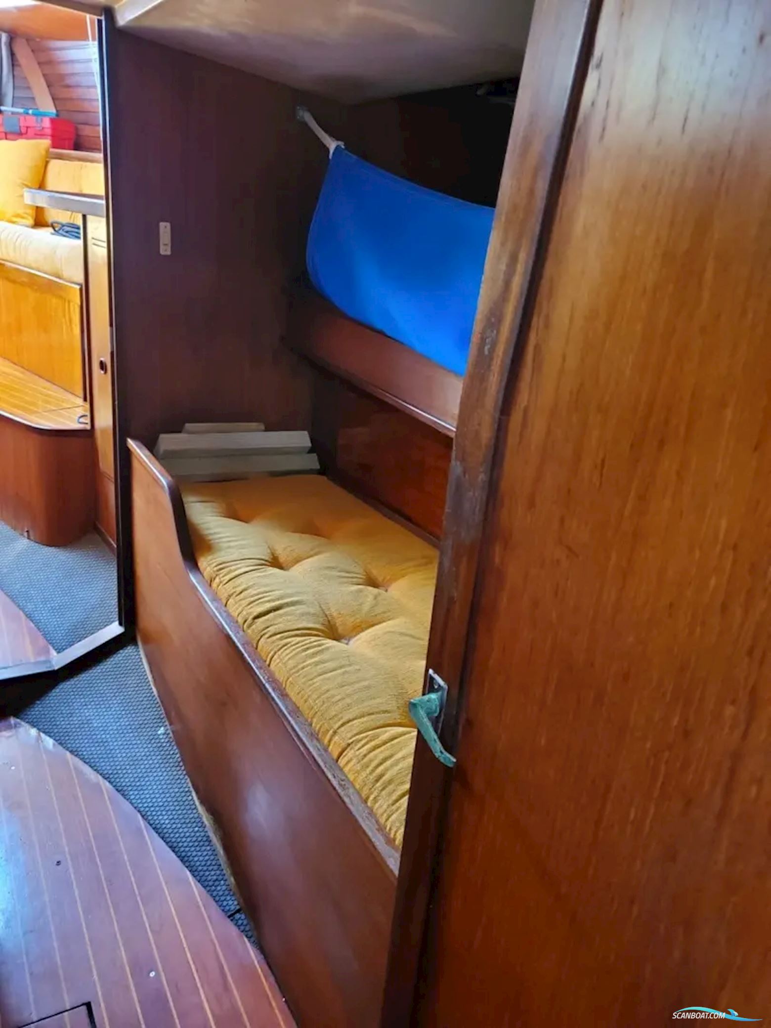 Wauquiez Amphitrite 43