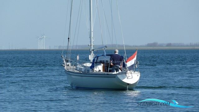 Wauquiez Centurion 32