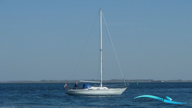 Wauquiez Centurion 32