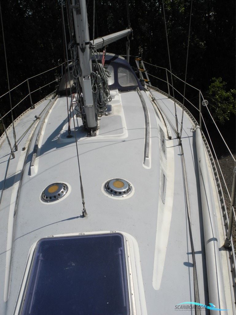 Wauquiez Gladiateur 33
