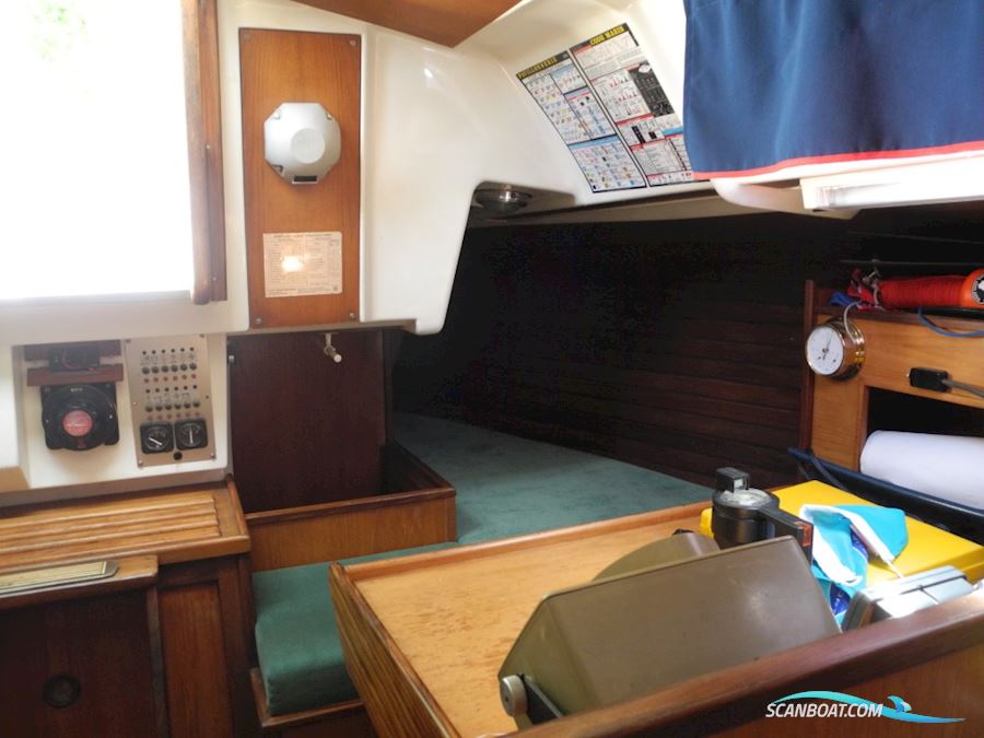 Wauquiez Gladiateur 33