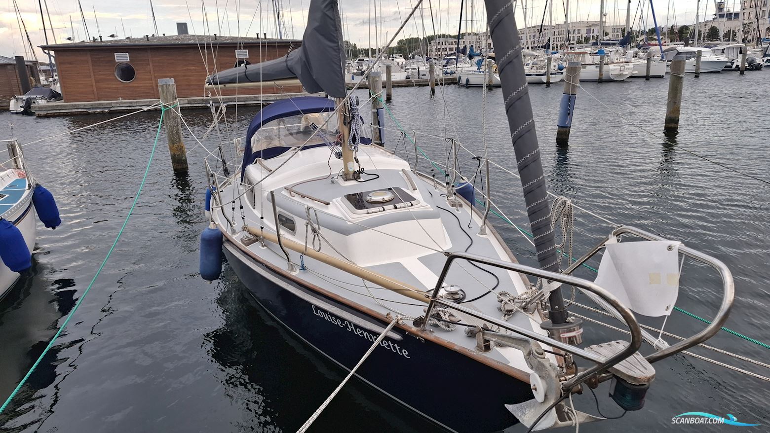 Wauquiez Victorian 27