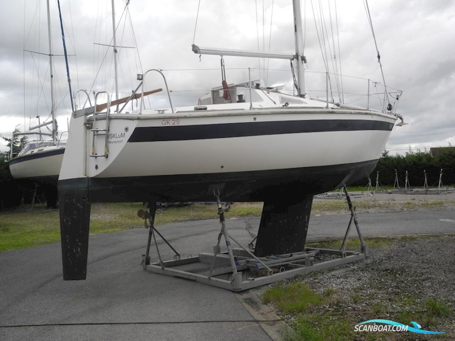 Westerly Gk 29 Sejlbåd 1979, med Beta Marine motor, Belgien