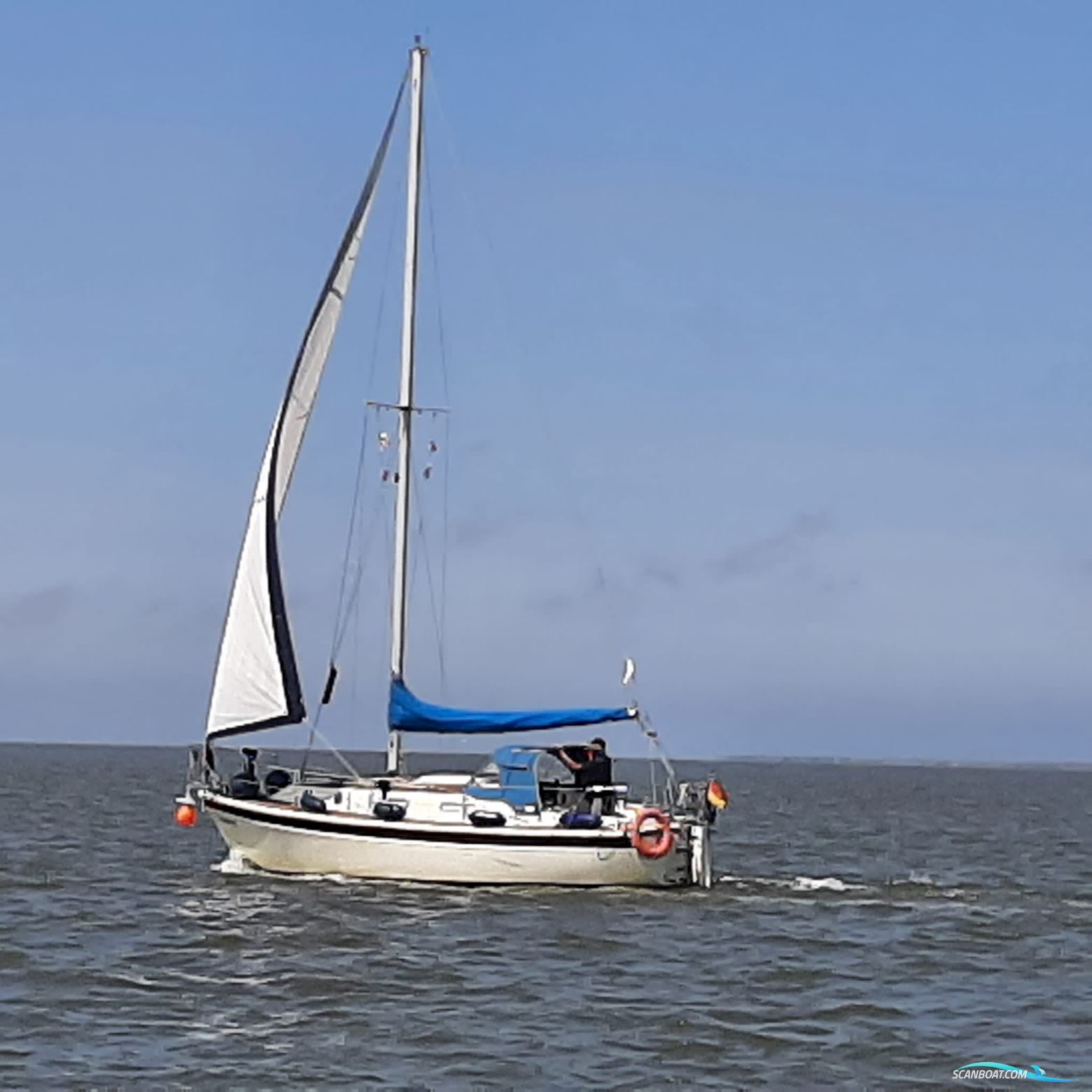 Westerly Konsort 29 Sejlbåd 1984, med Bukh Diesel motor, Holland