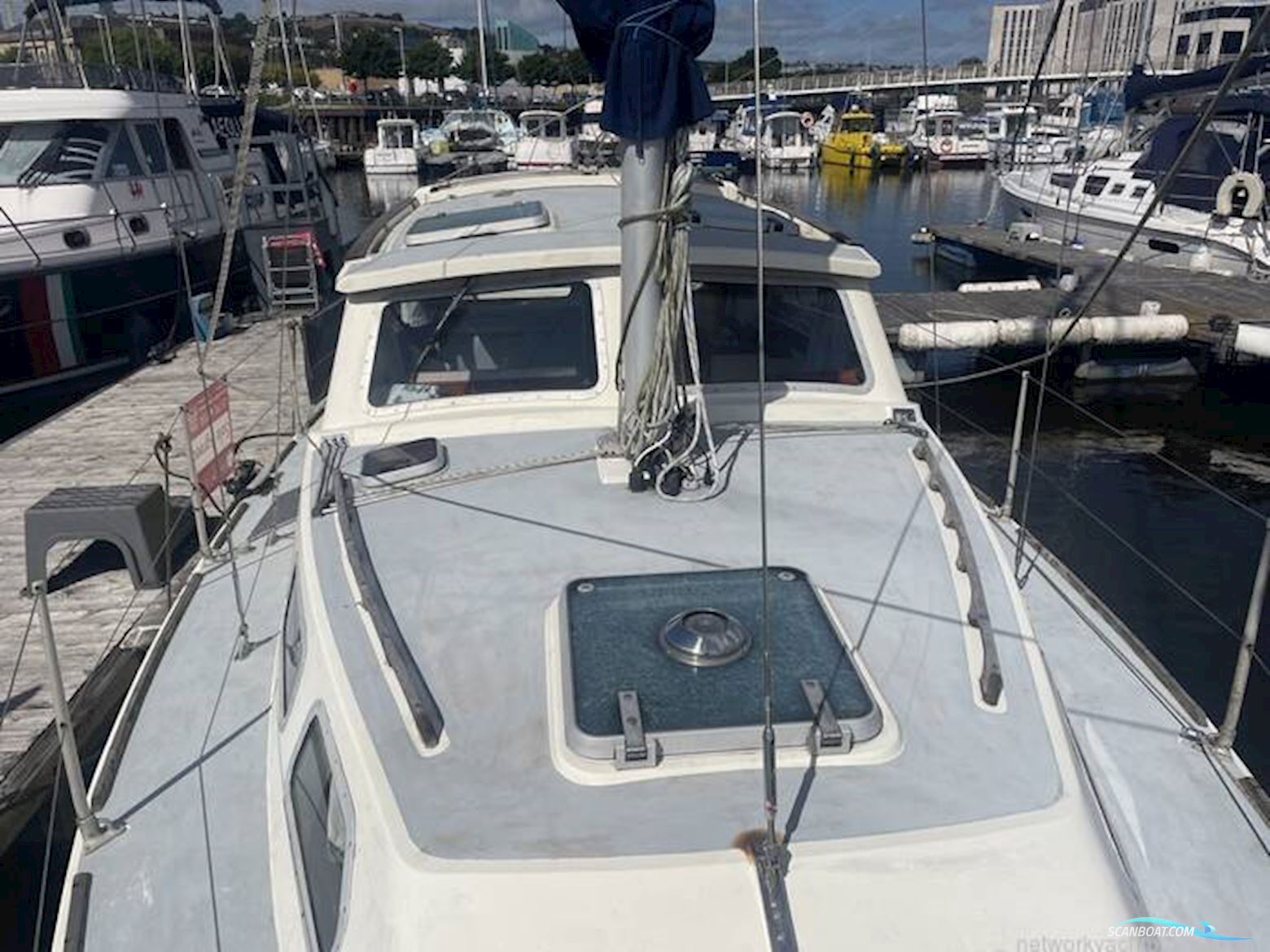 Westerly Konsort Duo 29