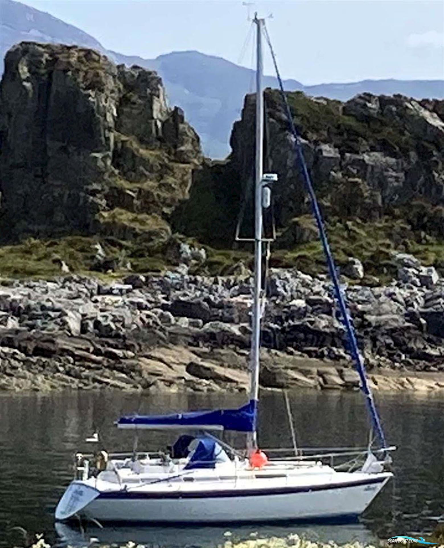 Westerly Seahawk 35 Jubilee Edition Sejlbåd 1989, England