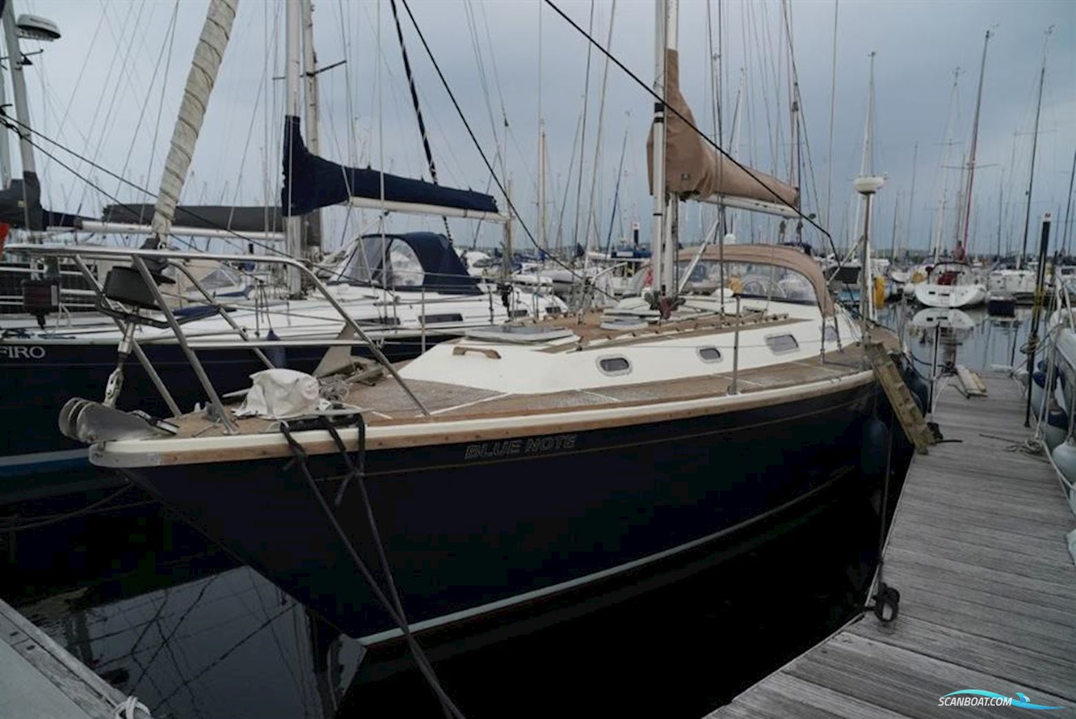 Westerly Sealord