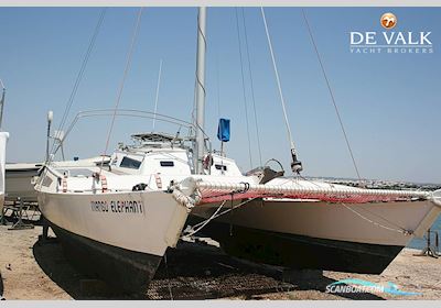 Wharram Tiki 30 Sejlbåd 2001, med Honda motor, Portugal