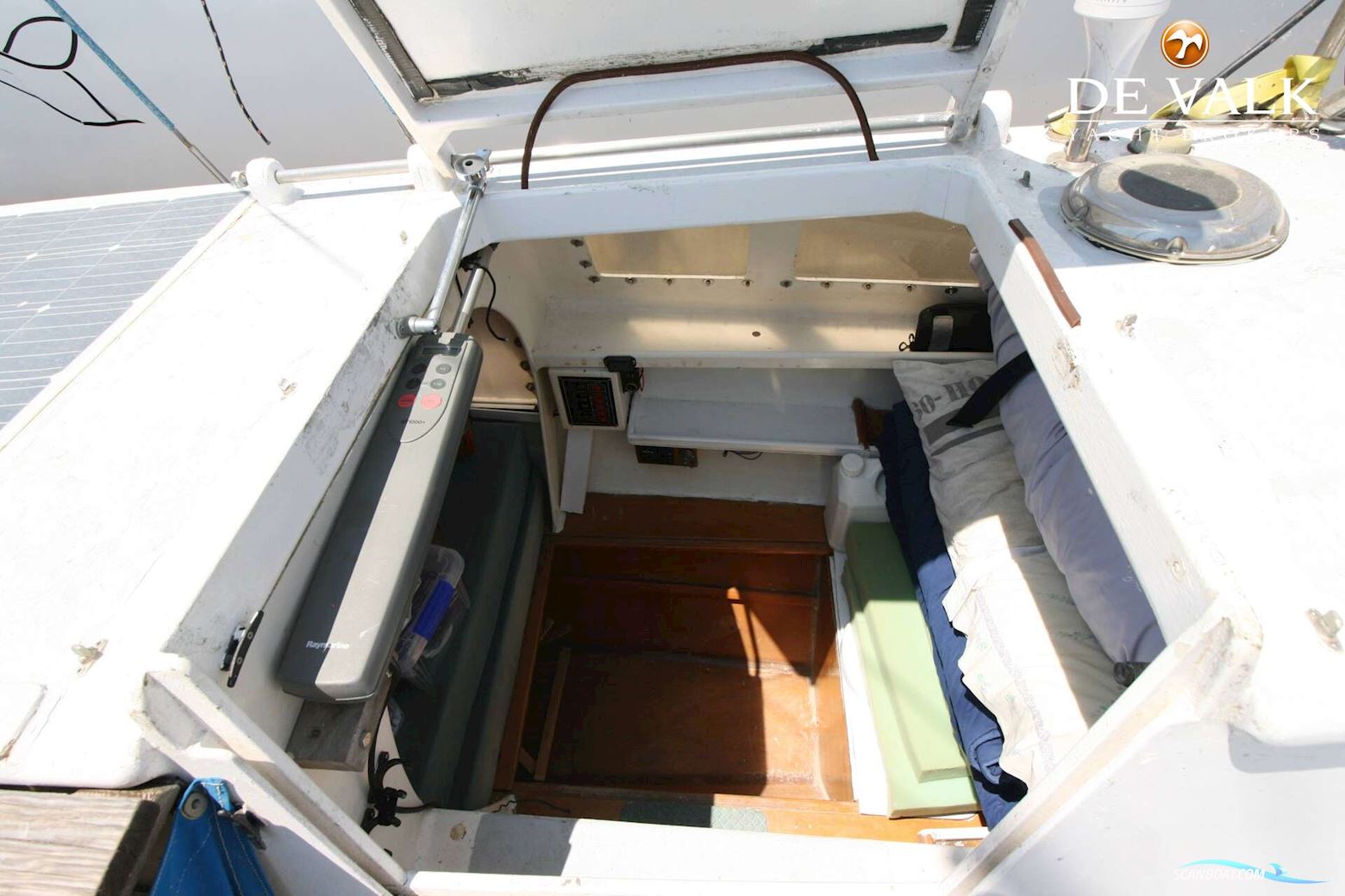 Wharram Tiki 30