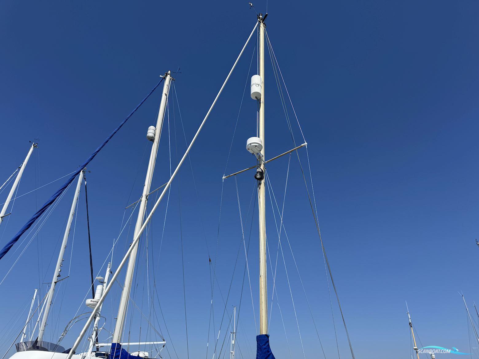 Wing 25