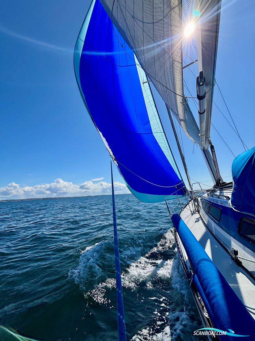 X-Yachts X-312