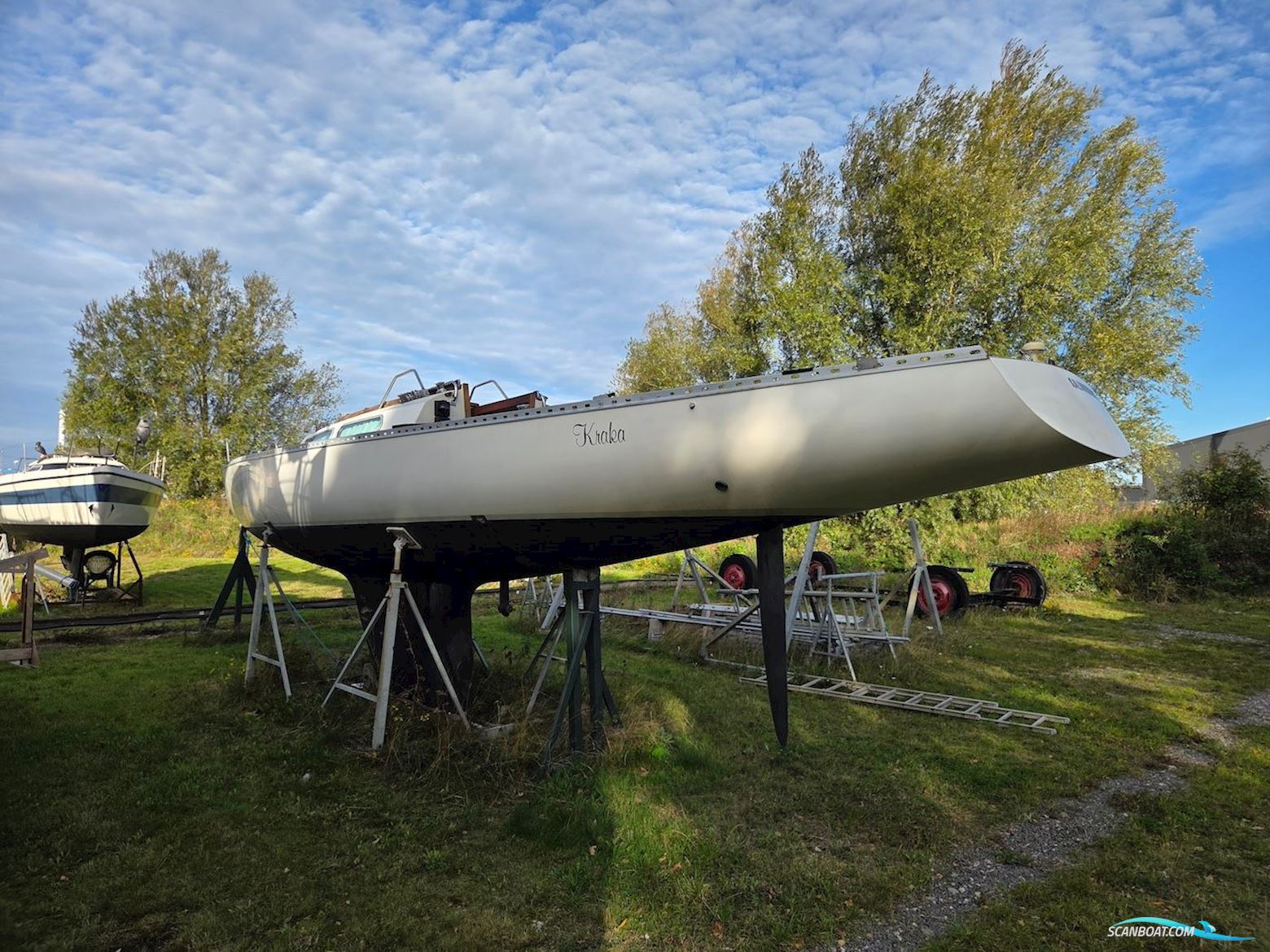 Ylva