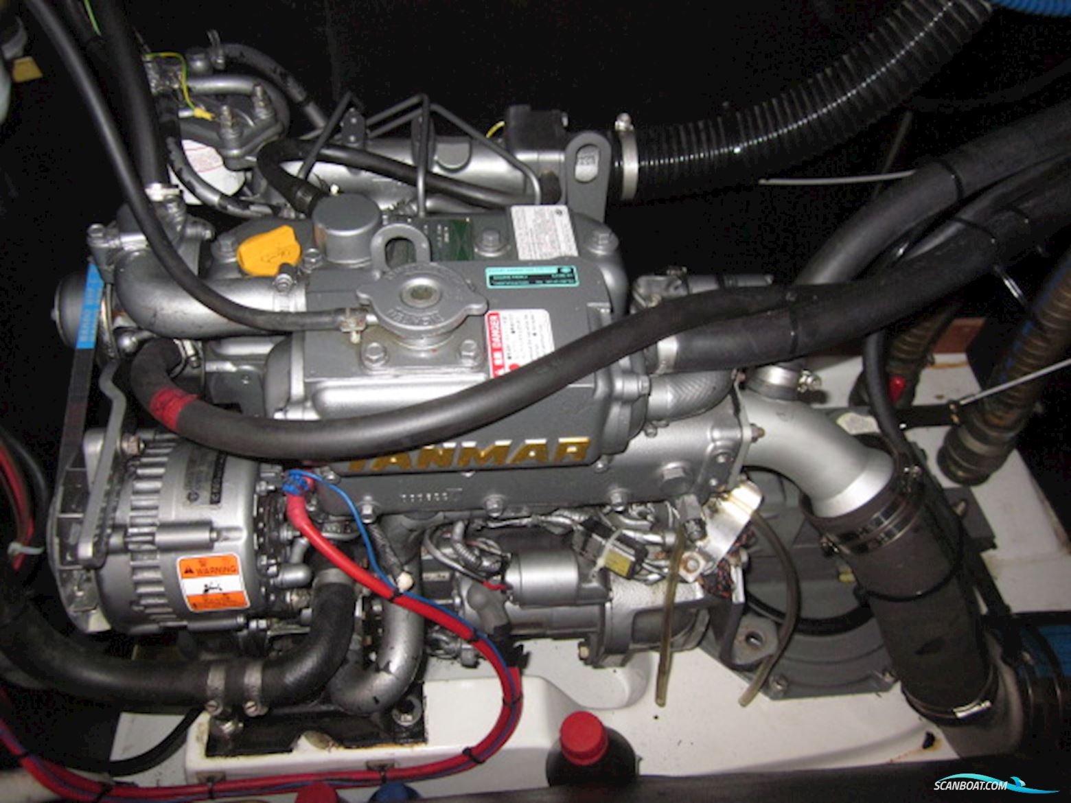 Zaadnoordijk C1100