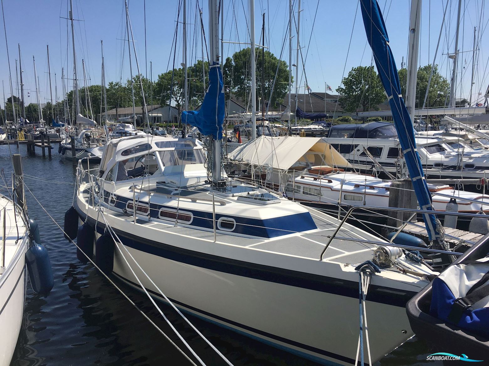 Zaadnoordijk Compromis 999