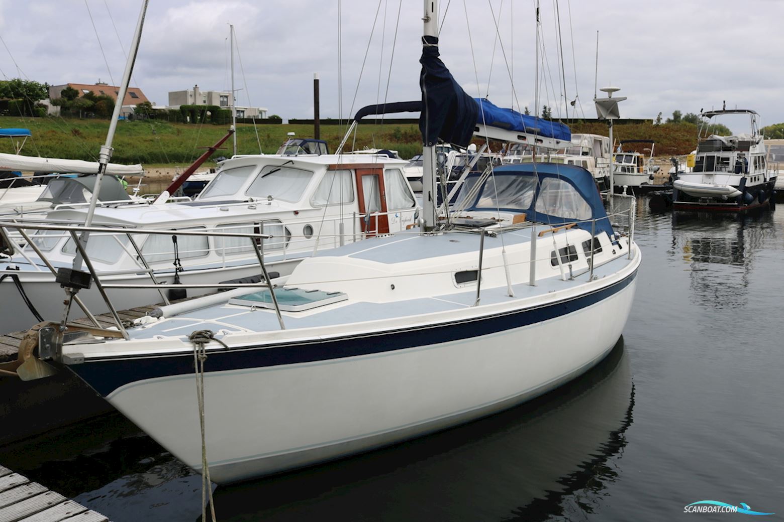 Zeilboot Cal 31