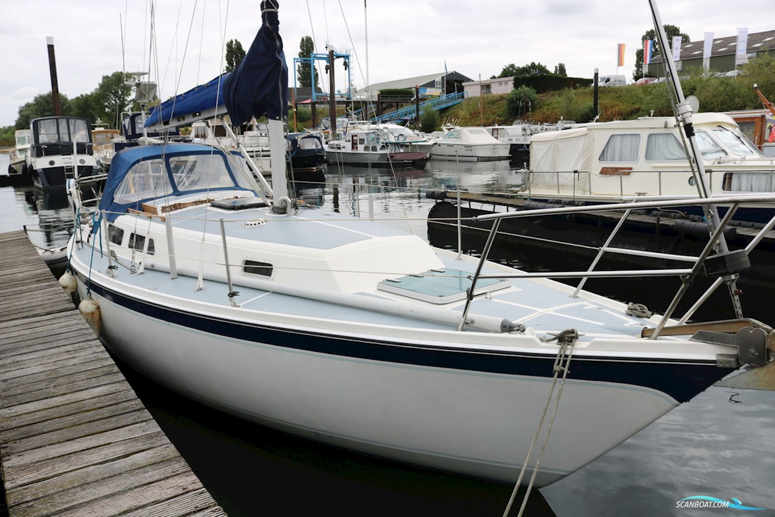 Zeilboot Cal 31