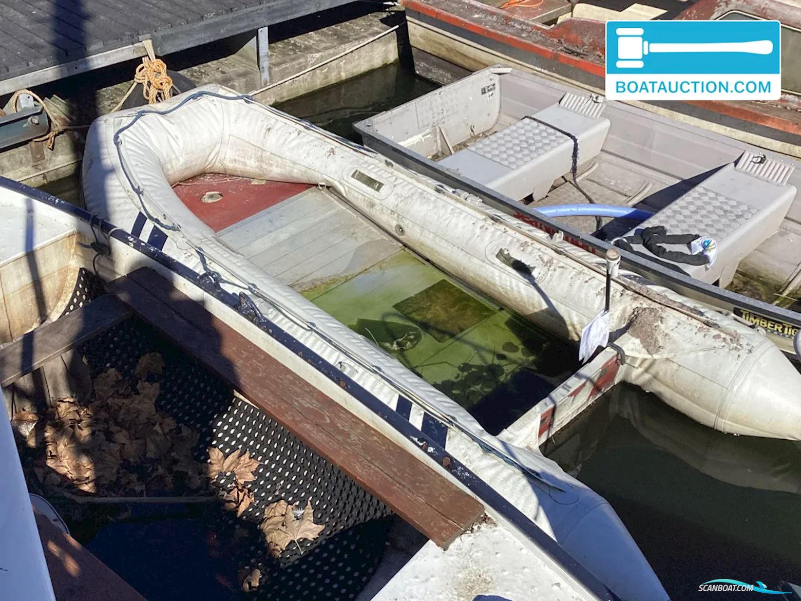 Rib 320 Småbåt 2024, Holland