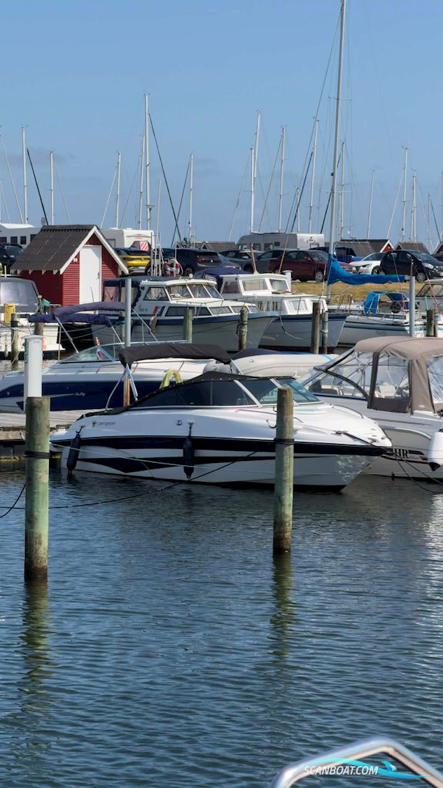 Campion Allante 595 sc