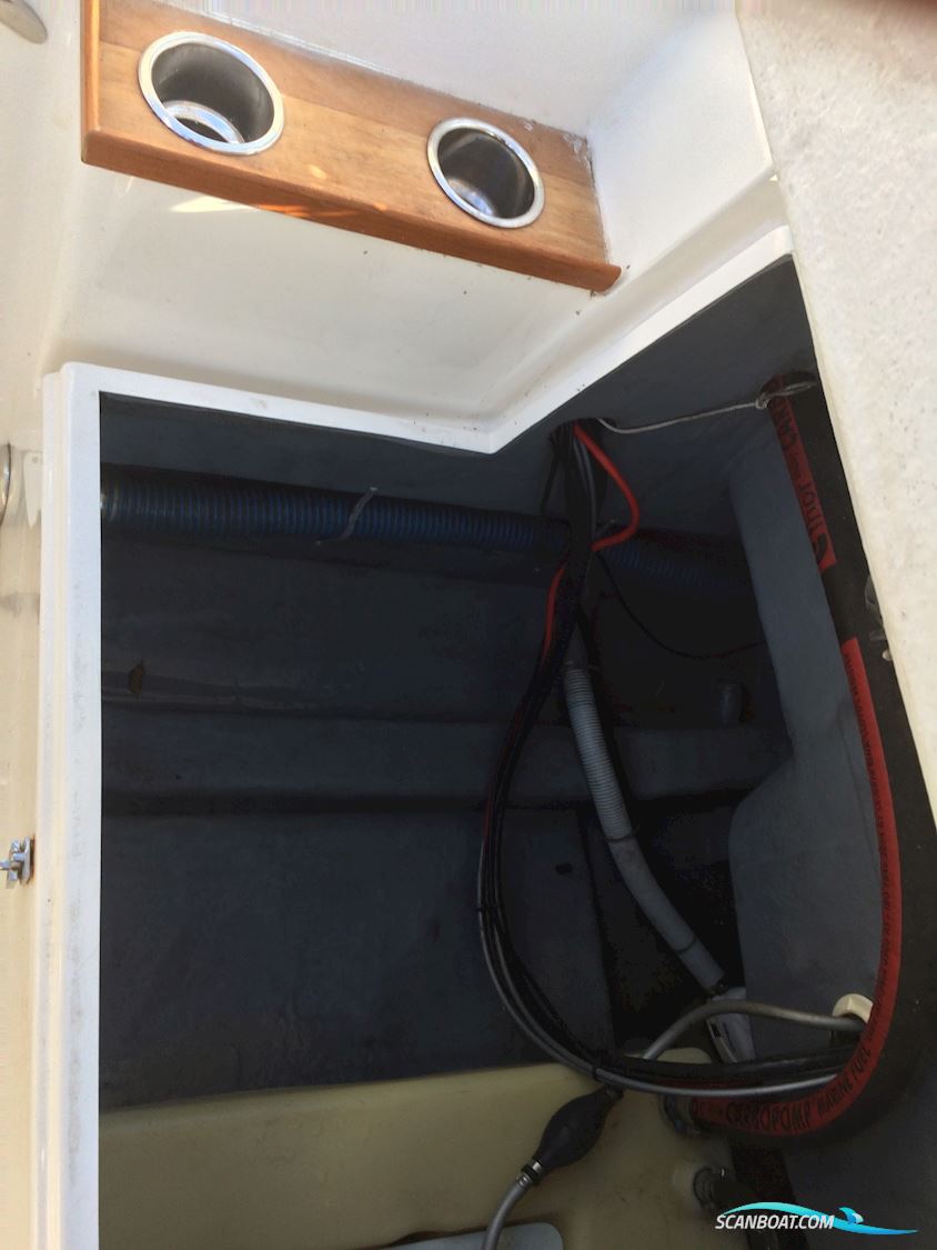 Ørnvik 500 Flamongo