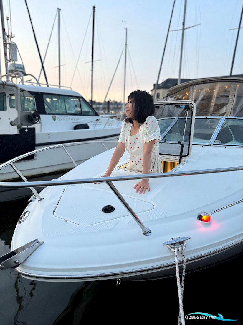 Sea Ray 225 weekender