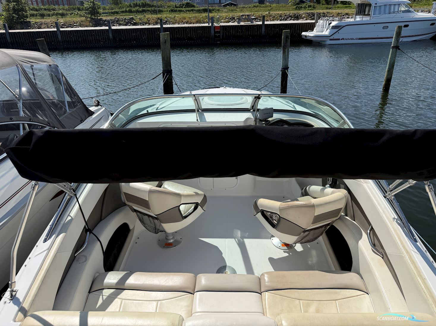 Campion Allante 595 sc
