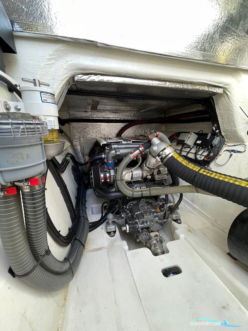 Leopard 40 Powercat